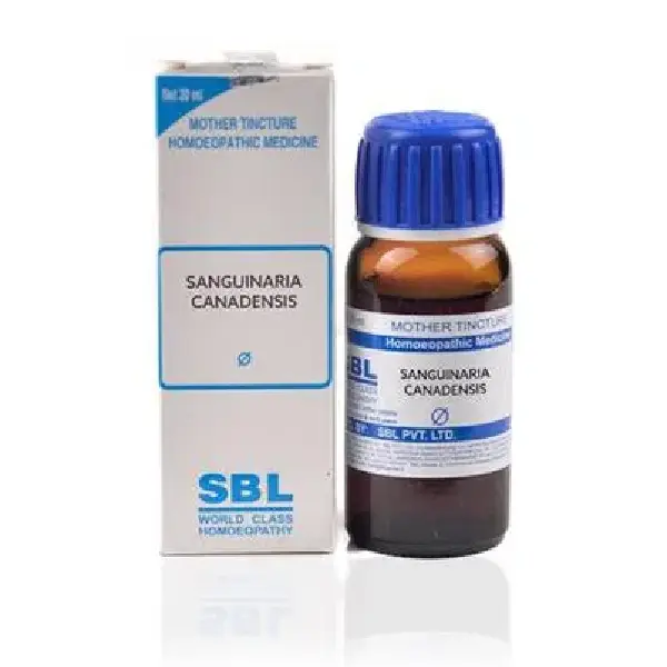 SBL Sanguinaria Canadensis Mother Tincture Q